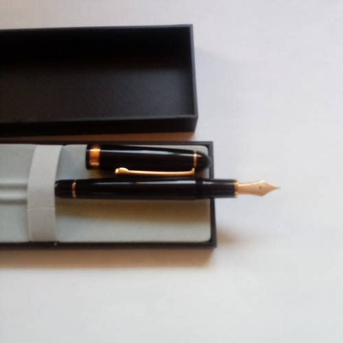 Penna stilografica platinum - stilografica,