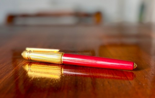 Penna stilografica pasha - stilografica,