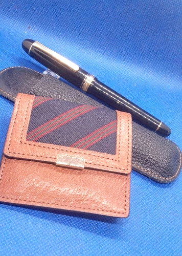 Penna stilografica platinum - stilografica,