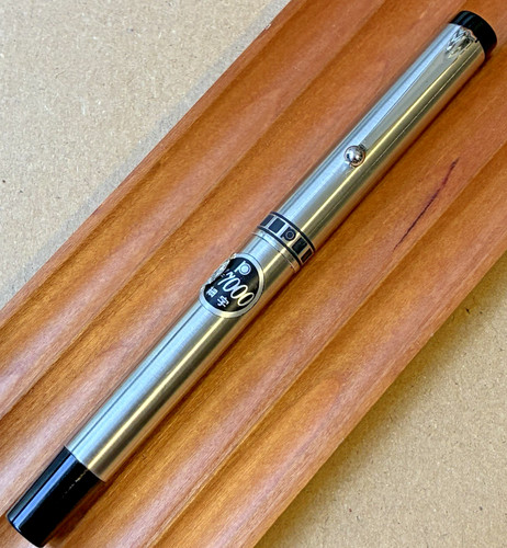 Penna stilografica platino