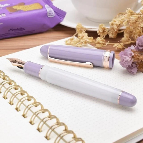 Penna stilografica platinum - penna,