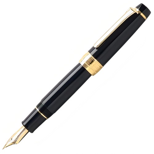 Penna stilografica preordine