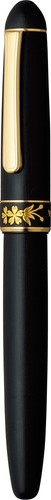Penna stilografica platinum - penna,