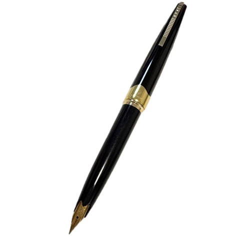 Penna stilografica platinum - penna,