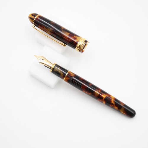 Penna stilografica platinum - penna,