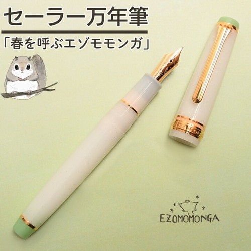 Penna stilografica sailor - stilografica,